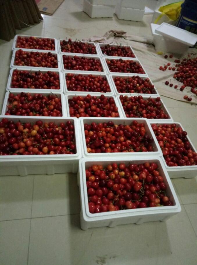 图片[2]-在下卓村里的一段日子-臭虾米博客