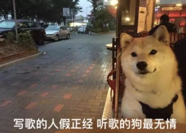 图片[4]-你想要赚钱，就需要从这7类人入手-臭虾米博客