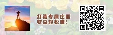 图片[3]-想赚钱，自己得自己想明白-臭虾米博客