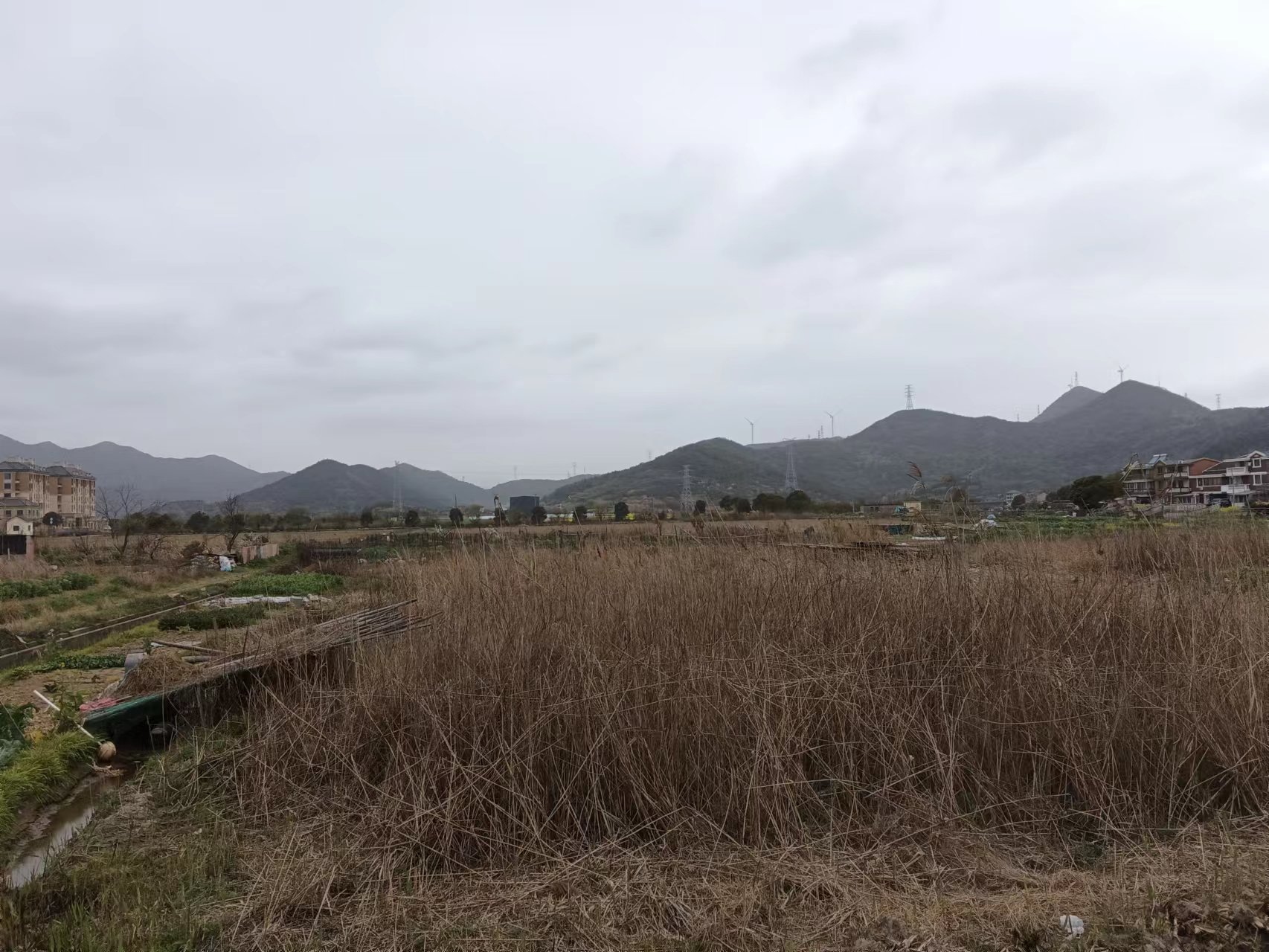 甲流来势汹汹-臭虾米博客